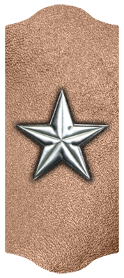 DARAY C 430 SL BZ Star Silver Bronze